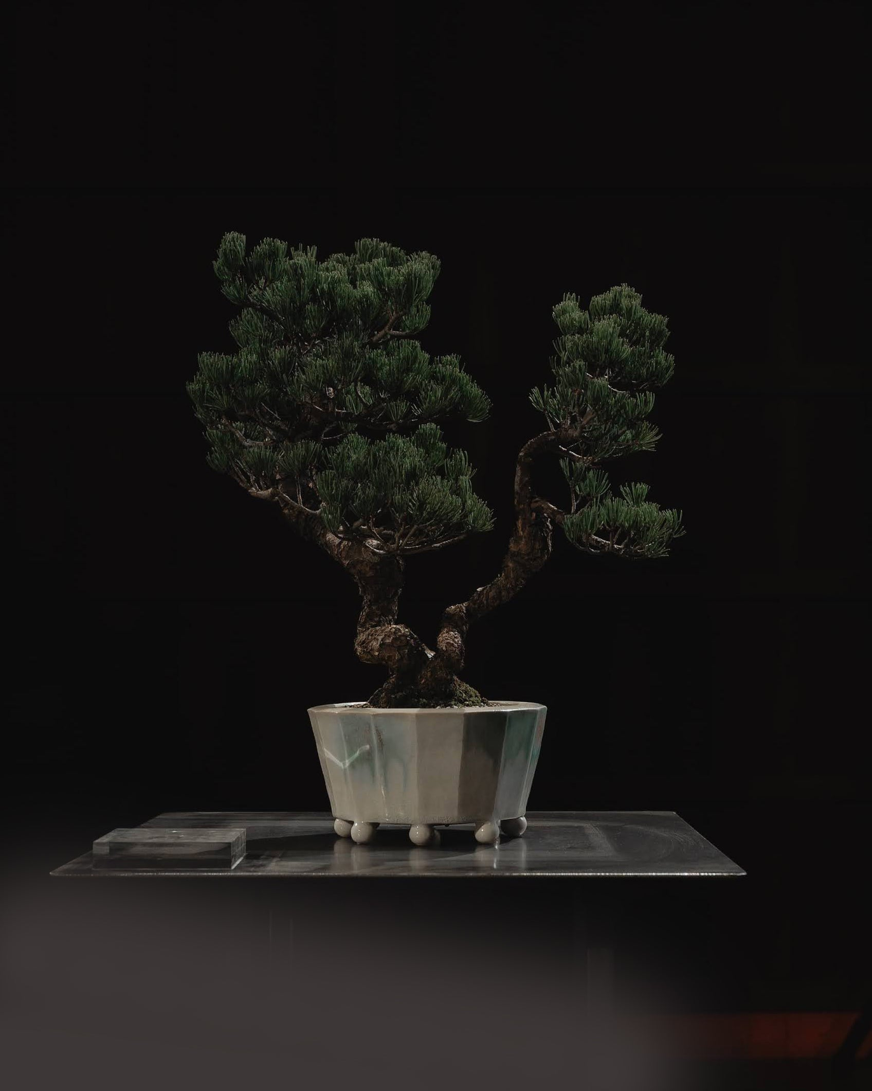 清水焼 KIYOMIZU WARE