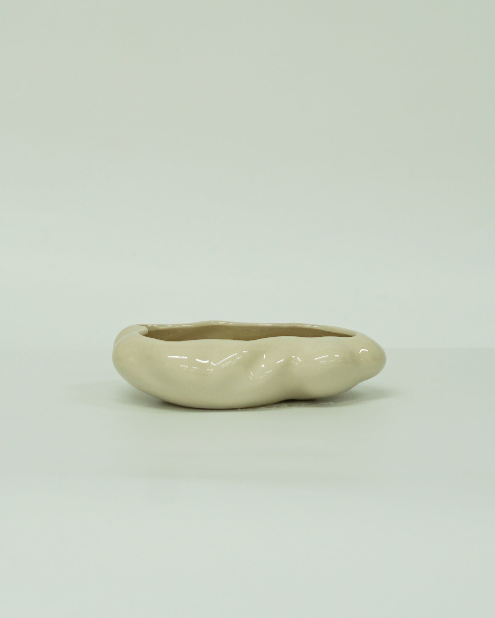 浮雲  + 盆栽 もみじ