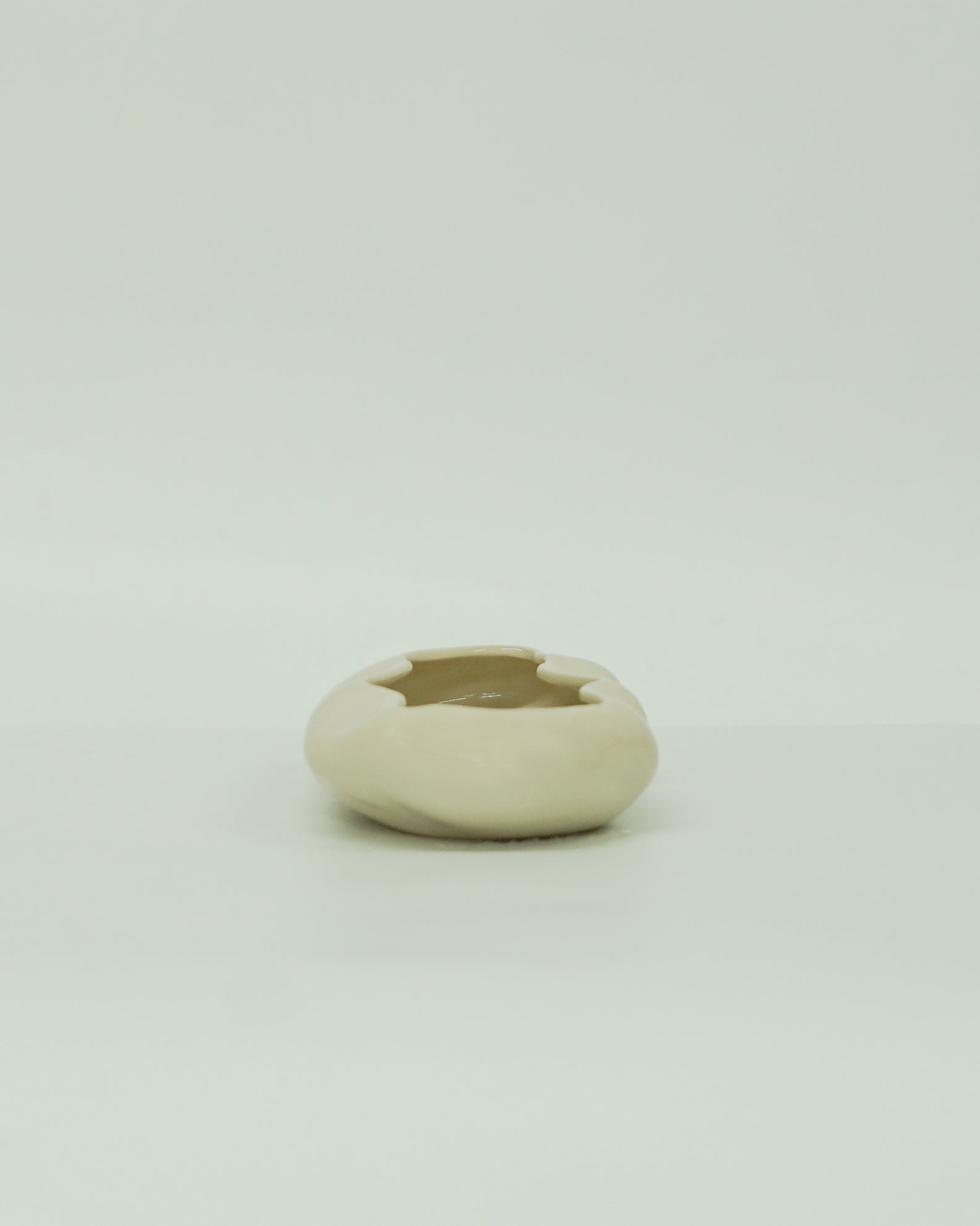 浮雲 + 盆栽 長寿梅