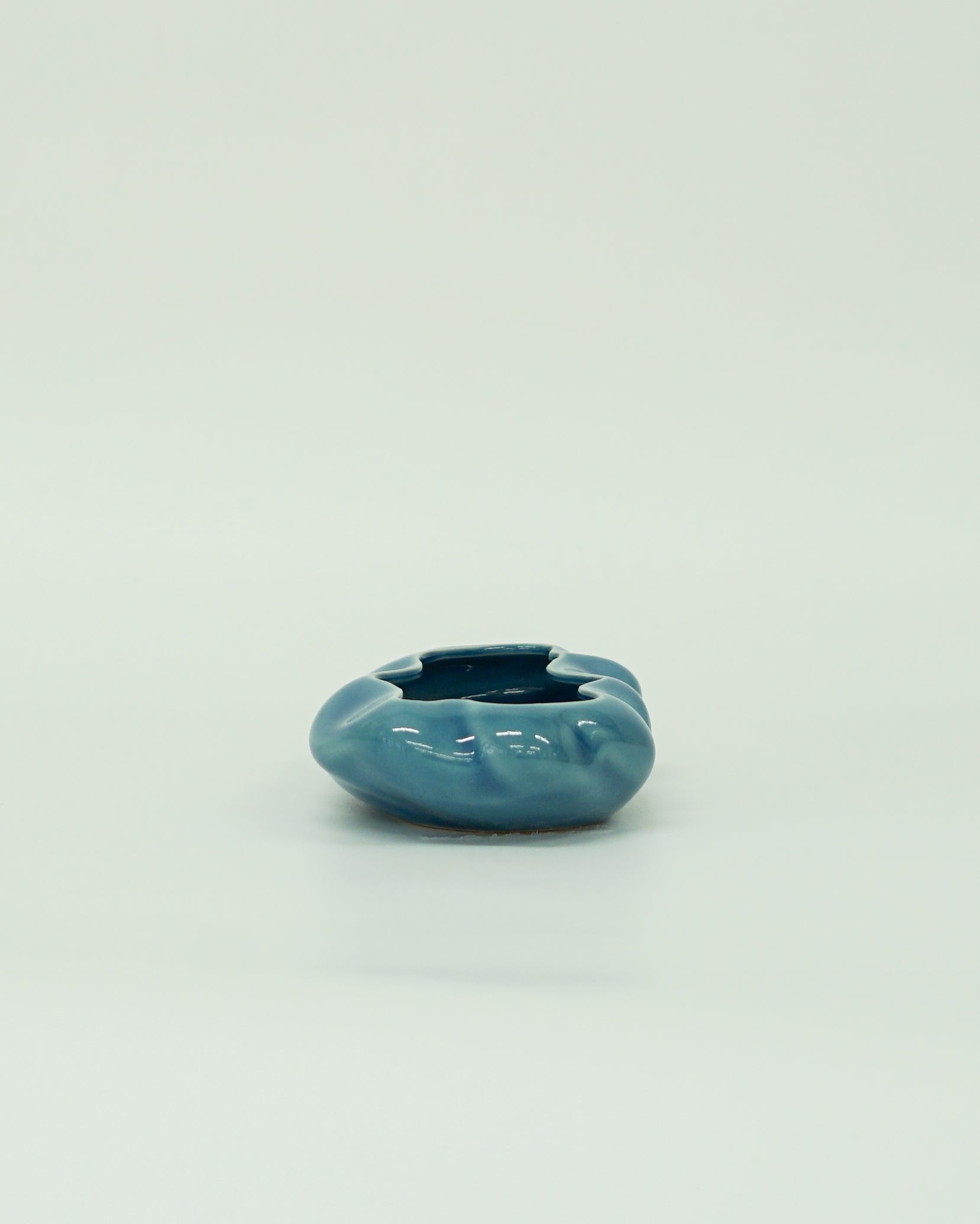 浮雲  + 盆栽 もみじ