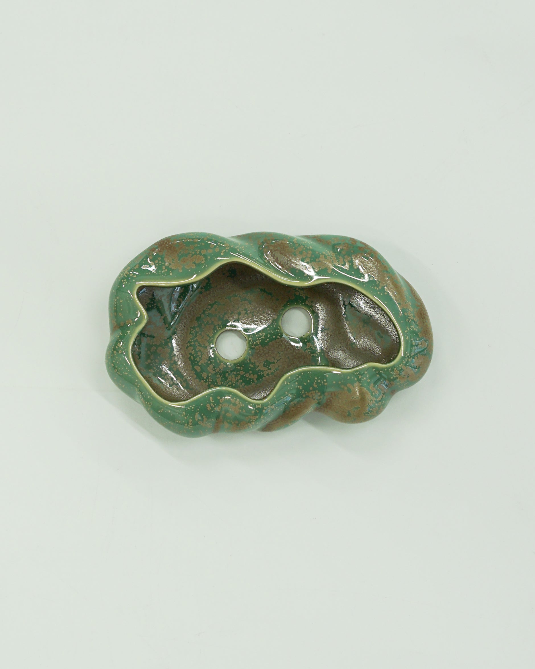 浮雲  + 盆栽 もみじ