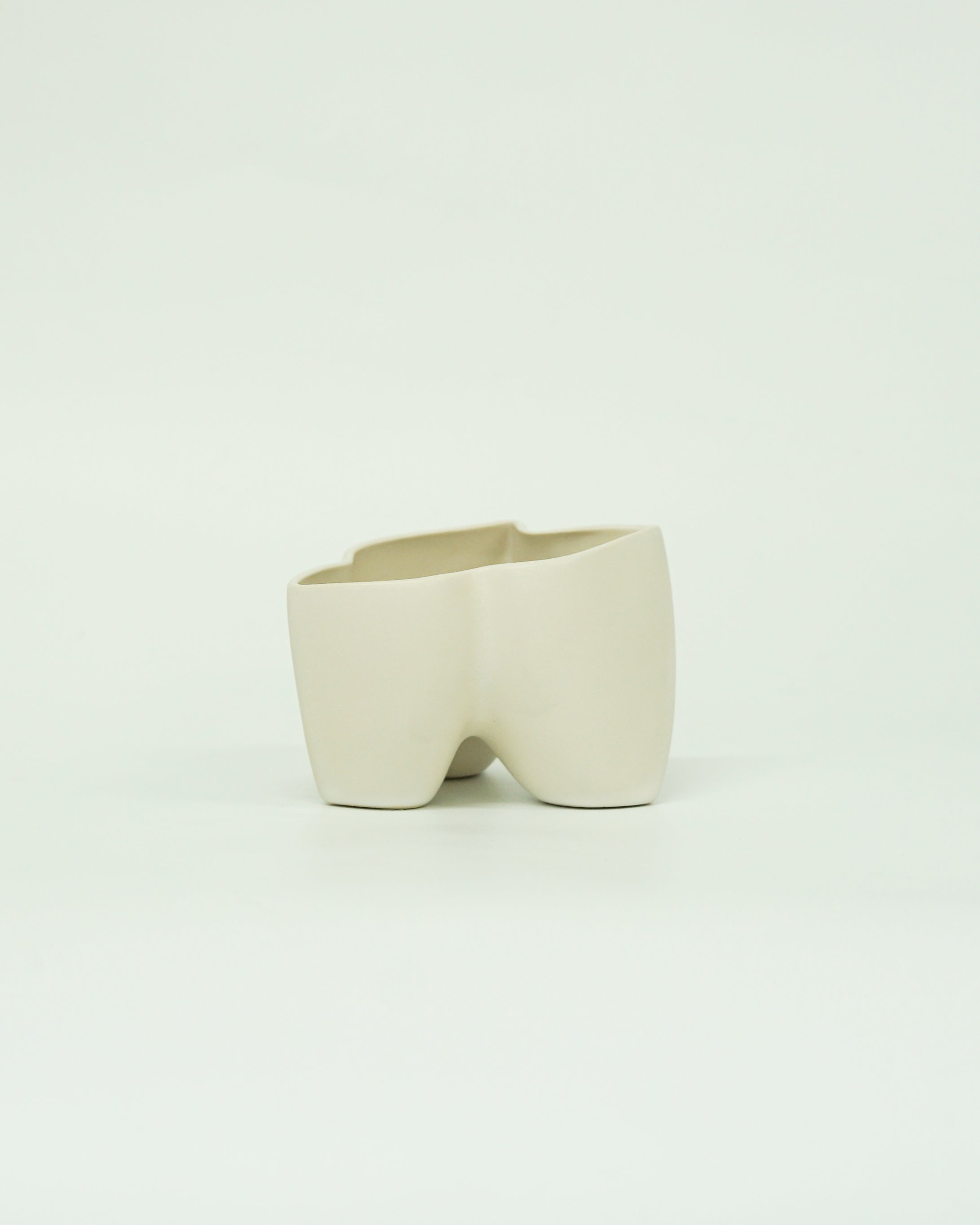 大地 + 盆栽 五葉松