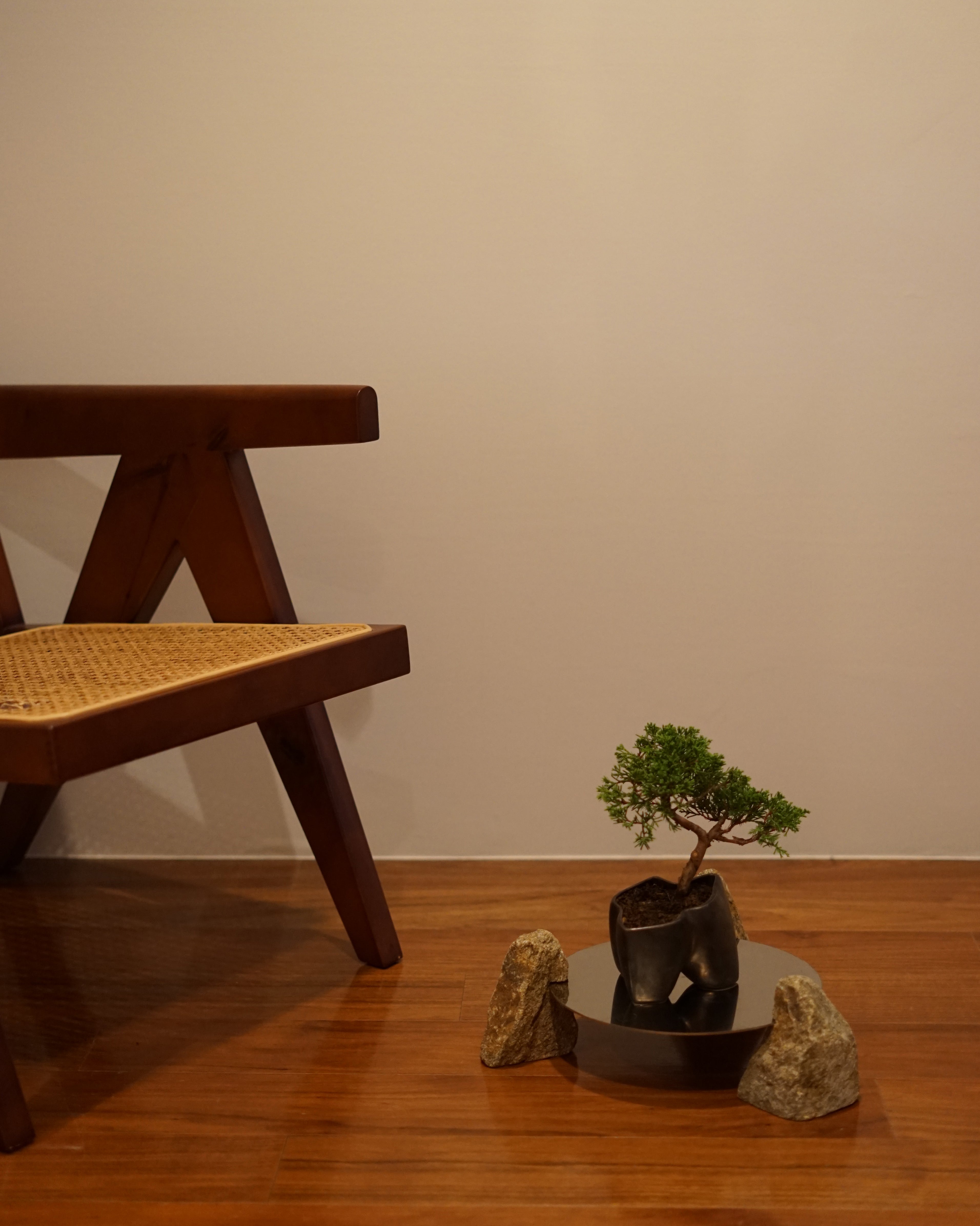 大地 + 盆栽 真柏