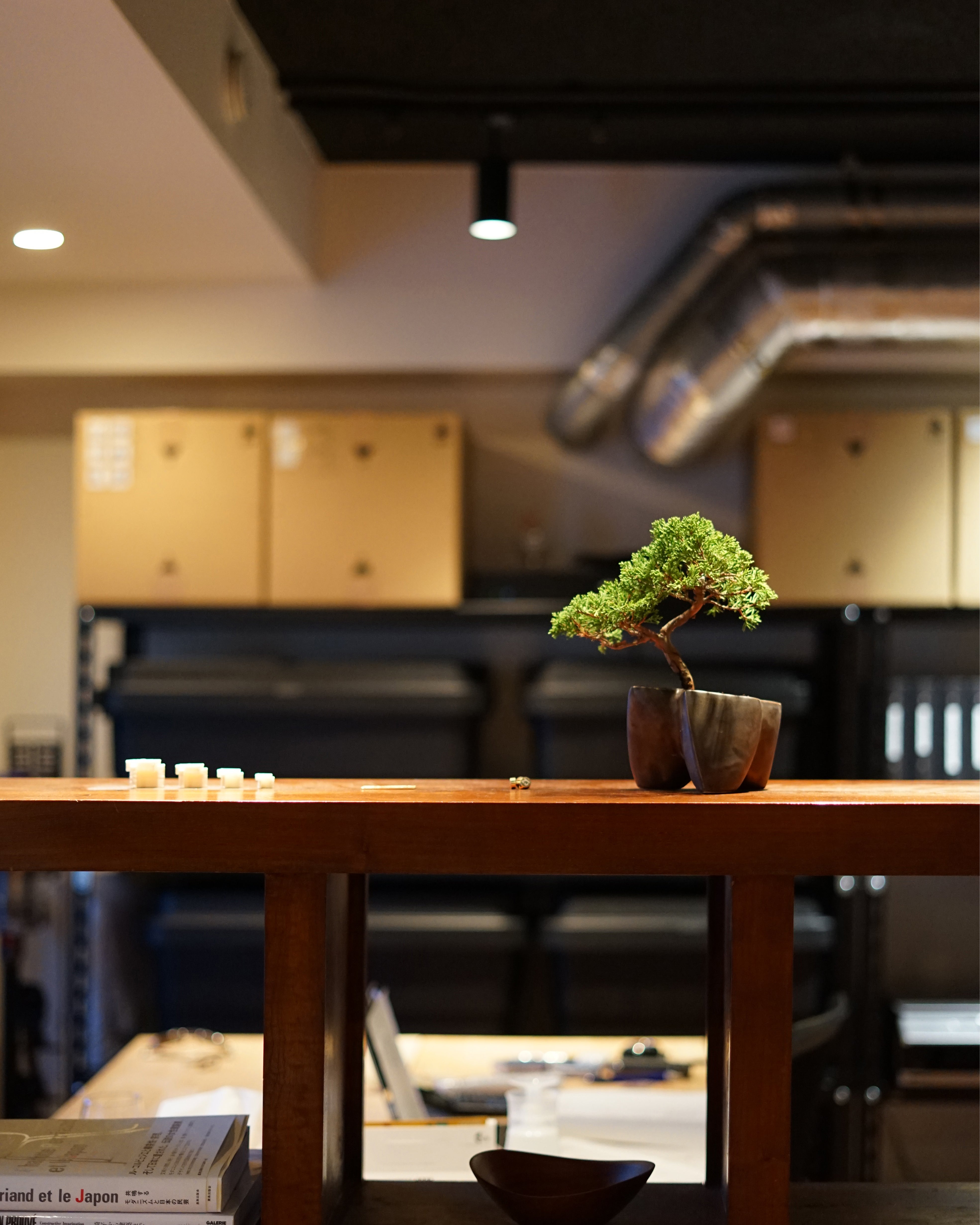 大地 + 盆栽 真柏