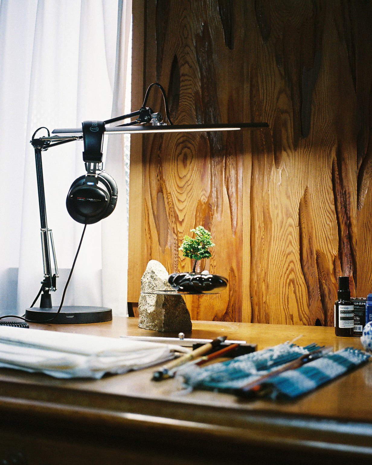 浮雲 + 盆栽 津山桧
