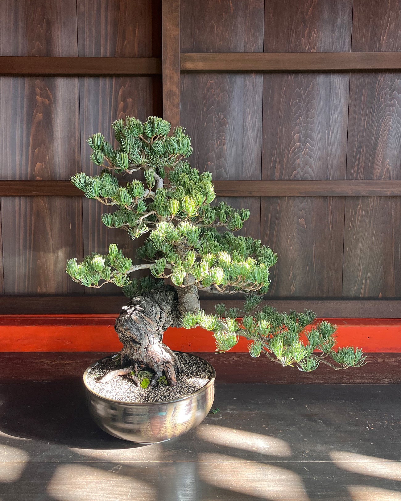 青綠冰裂開片盆栽鉢  植木鉢 小品盆栽鉢 大品盆栽鉢 冰裂開片鉢 盆栽鉢 植木鉢 小品盆栽鉢 大品盆栽鉢